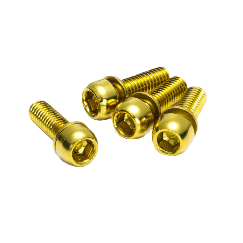 Load image into Gallery viewer, Reverse-Disc-Brake-Caliper-Bolts-M6x18-Disc-Caliper-Part-DCPT0159
