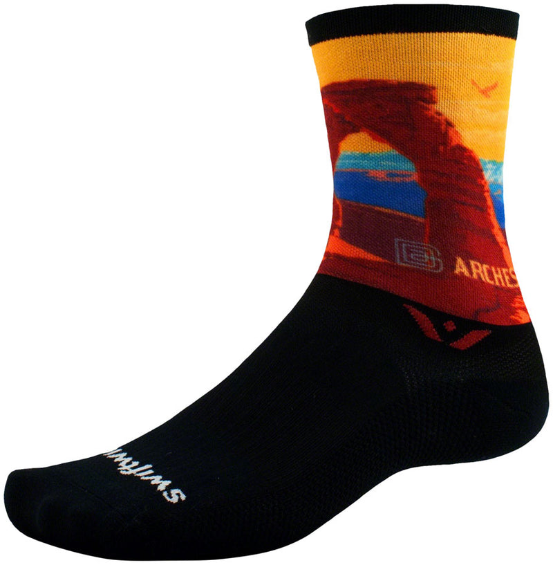 Load image into Gallery viewer, Swiftwick--X-Large-Vision-Six-Impression-National-Park-Socks_SOCK1780
