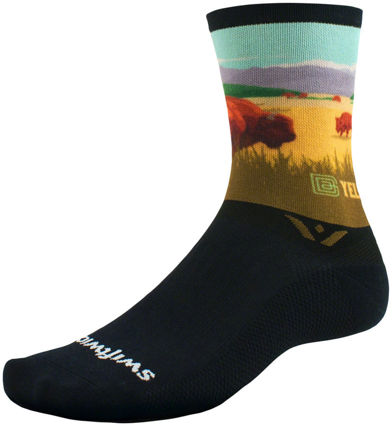 Load image into Gallery viewer, Swiftwick--Medium-Vision-Six-Impression-National-Park-Socks_SOCK1817
