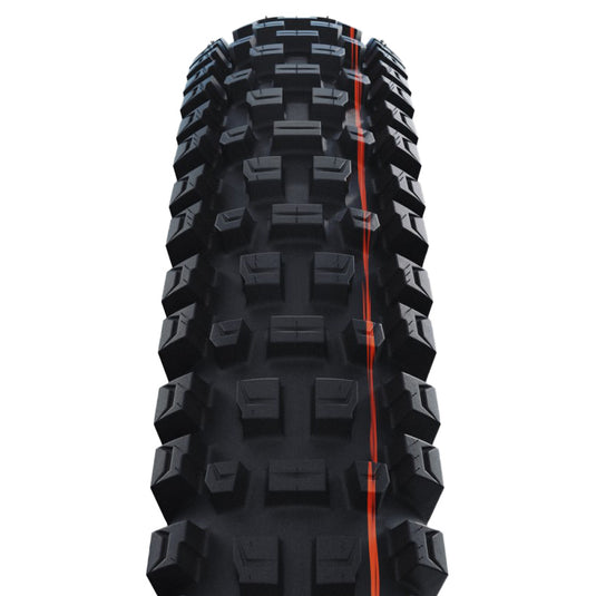 Schwalbe Albert Gravity Pro Mountain Tire, 29"x2.50, Folding, Tubeless Ready, Addix Ultra Soft, Gravity Pro - Radial,