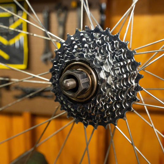 Pedro's Freewheel Socket, Multi-Speed 12-Spline x 23mm