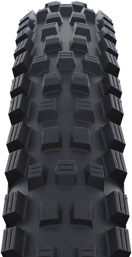 Schwalbe Magic Mary Tire 29x2.4 Tubeless Folding Blk Evo Line Soft Super Trail