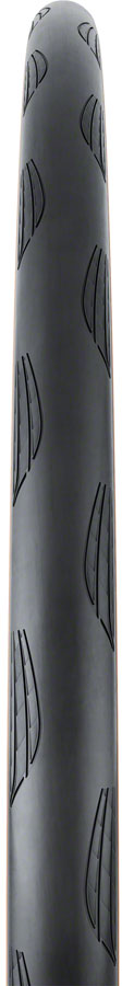 Continental Grand Prix TR Tire - 700 x 25, Tubeless, Folding, Black/Transparent, BlackChili