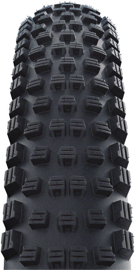 Schwalbe Wicked Will Mountain Tire, 29"2.25, Folding, Tubeless Ready, Addix Twinskin, Performance Line, Black