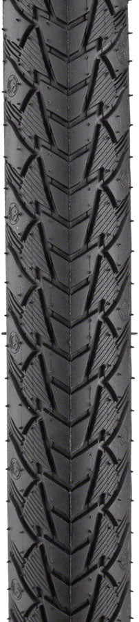 Continental Contact Plus Tire - 650b x 42, Clincher, Wire, Black/Reflex, SafetyPlus Breaker, E50