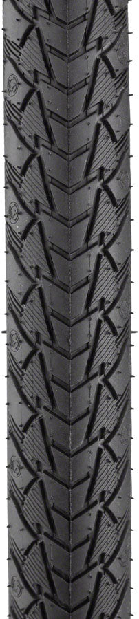 Continental Contact Plus Tire 700 x 42 Clincher Wire Steel Black Road