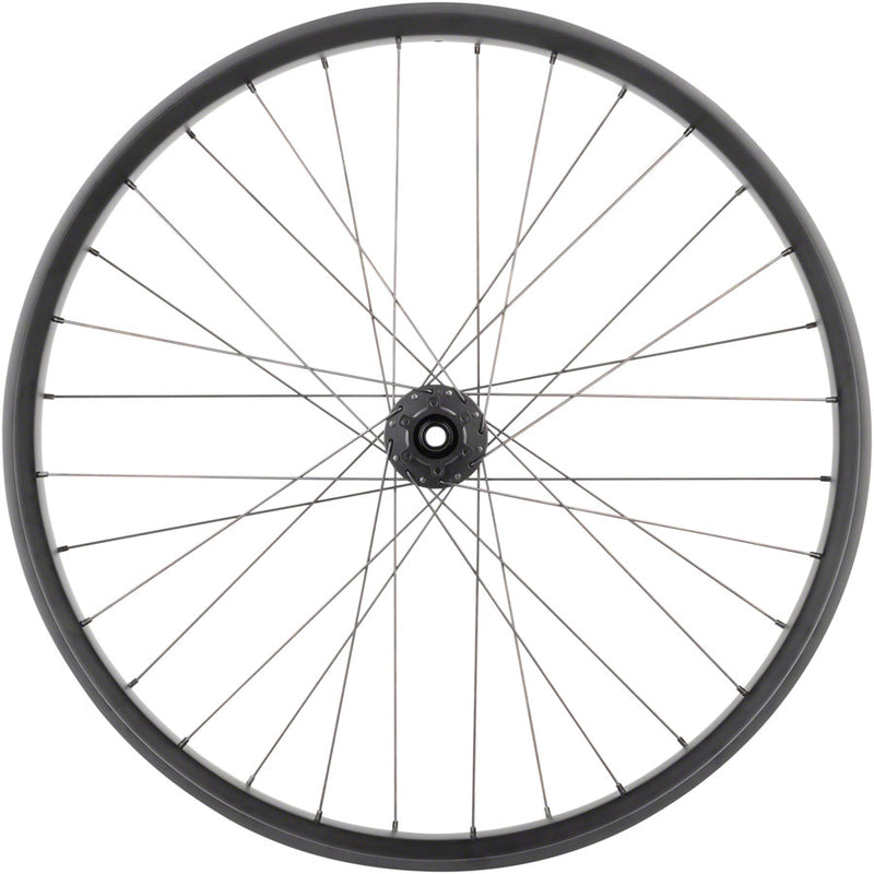 Load image into Gallery viewer, Quality Wheels Alex CF-1 Carbon Bear Pawl Rear 26in Fat 12x197mm 6-Bolt HG 11
