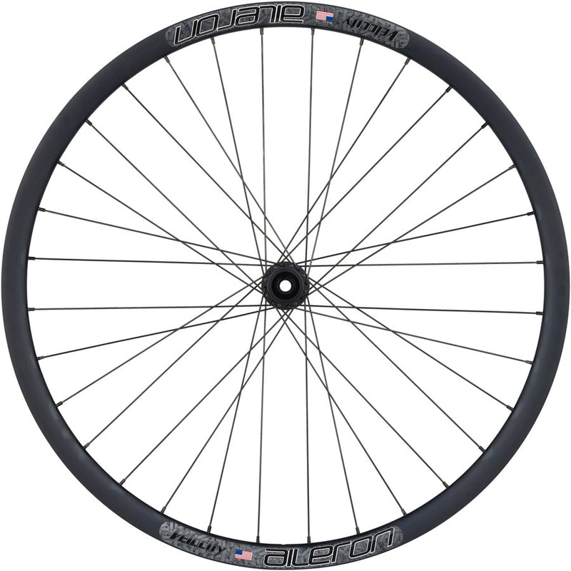 Load image into Gallery viewer, Quality Wheels BearPawls / Velocity Aileron Front Wheel - 700c, 12 x 100mm, Center-Lock, Black
