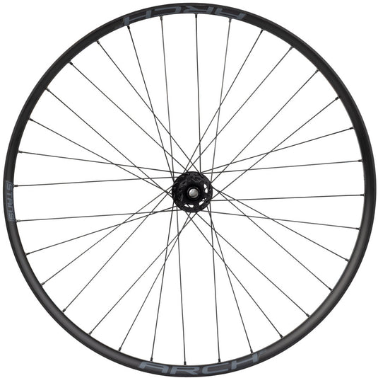 Quality Wheels DT 350 / Stans Arch S2 Front Wheel - 29", 15 x 110mm, 6-Bolt, Black, 32H