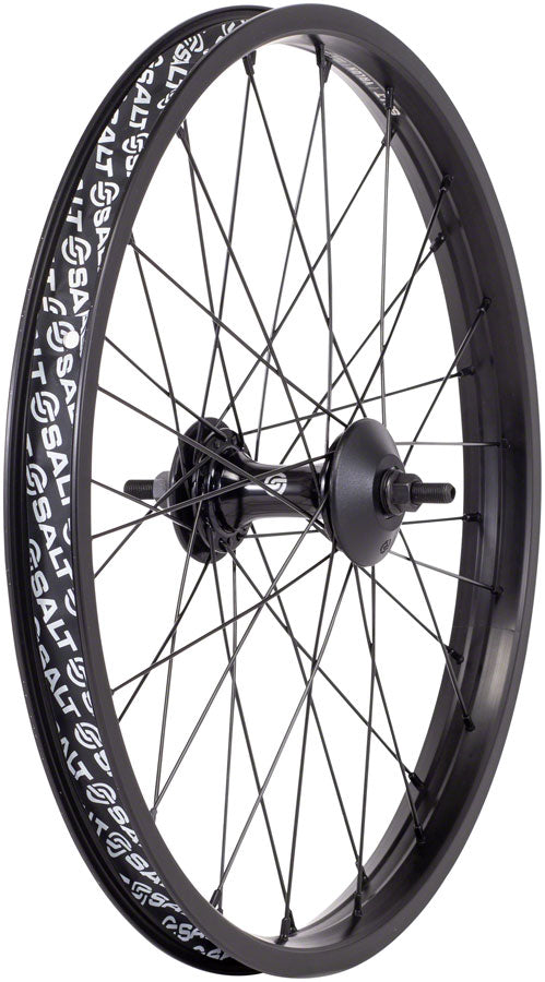 Salt EX Front Wheel - 20", 3/8" x 100mm, Rim Brake, Black, Clincher