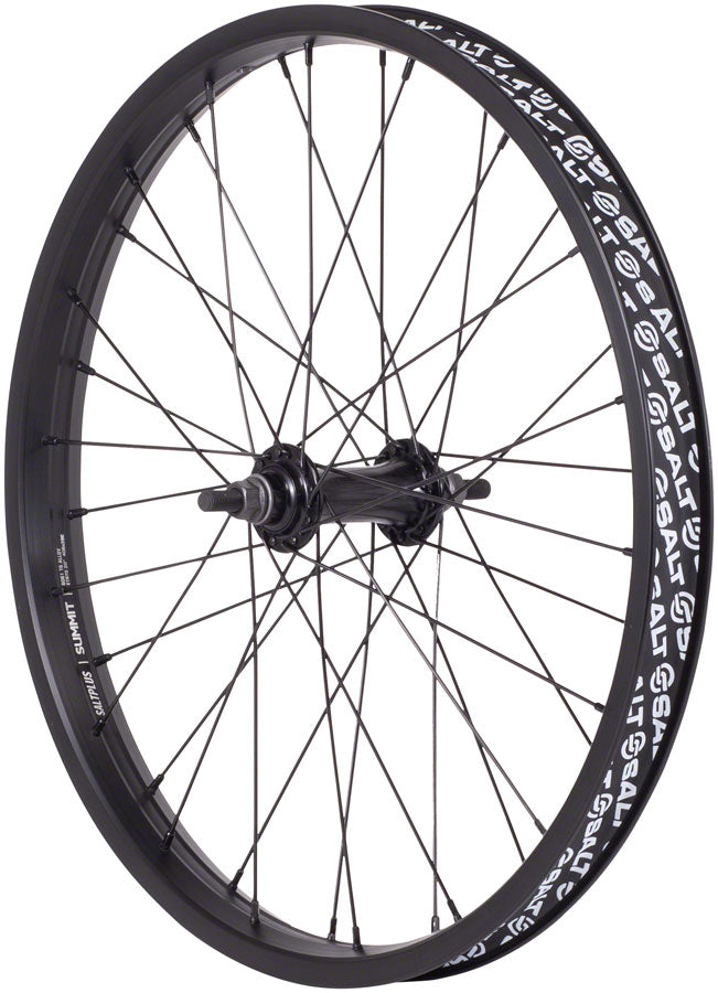 Load image into Gallery viewer, Salt Everest Front Wheel - 20&quot;, 3/8&quot; x 100mm, Rim Brake, Black, Clincher
