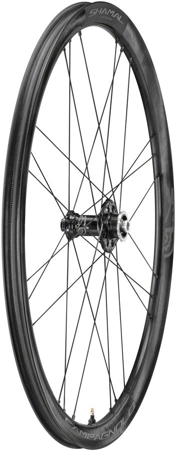 Load image into Gallery viewer, Campagnolo SHAMAL Carbon 700c Front Wheel 12x100mm 24H Center Lock 2-Way Fit
