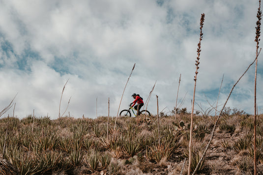 SHOP TIRES for YOUR RIDE