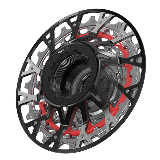 SRAM XX Downhill XS-797 T-Type Cassette - 7-Speed, 10-24t, For XD Driver, Silver