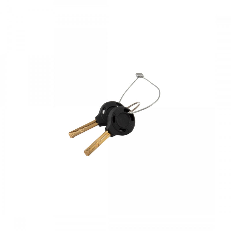 Load image into Gallery viewer, Sunlite Defender D1 Key Lock Key 10mm 6`/183cm Includes 2 Keys Heavy Duty
